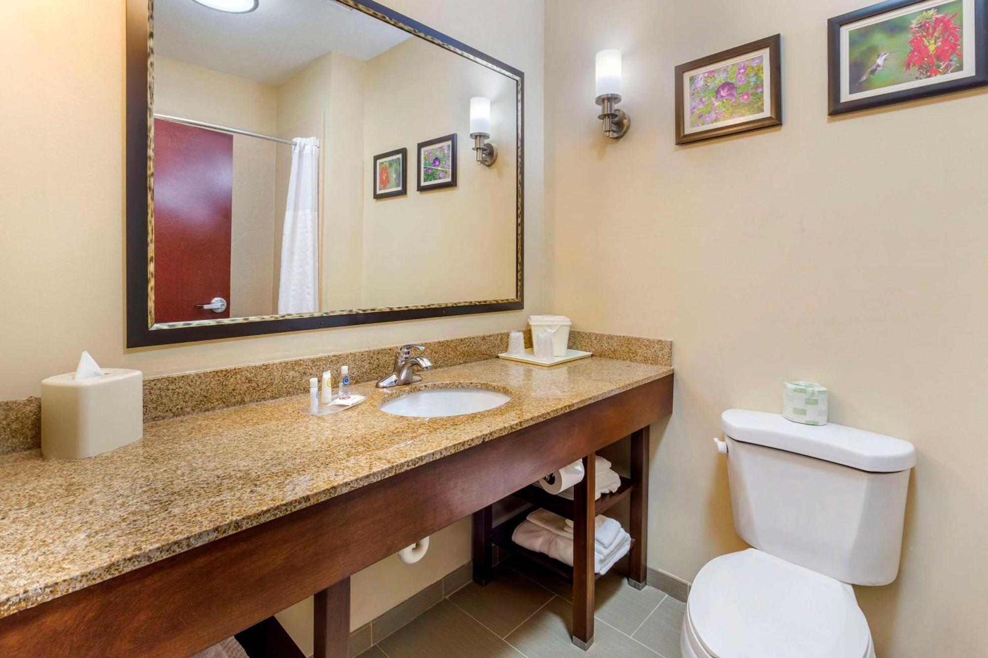 Comfort Suites Wilson - I - 95 Exteriör bild